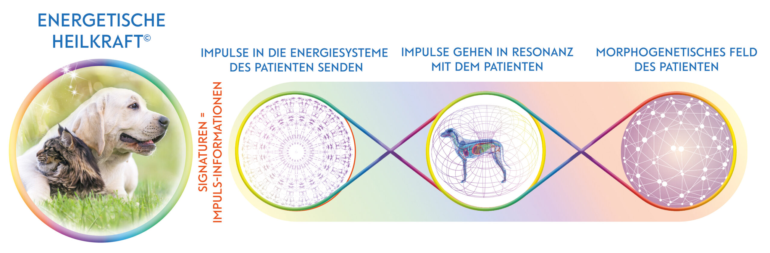 Was bewirkt EH