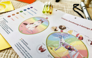 animal-vitalis-energetische-heilkraft-seminar-1