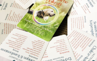 animal-vitalis-energetische-heilkraft-seminar-2
